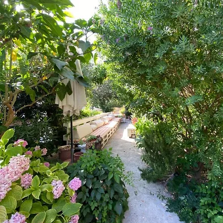 House Josip * マカルスカ