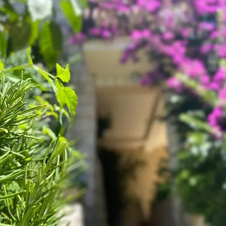 Apartment House Josip Makarska