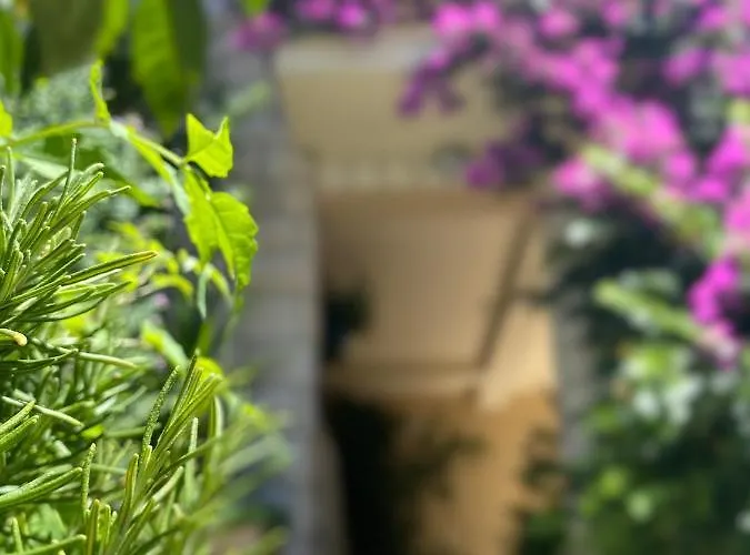 Apartman House Josip Makarska